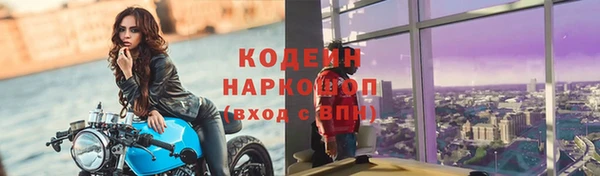 ГАЛЛЮЦИНОГЕННЫЕ ГРИБЫ Гусиноозёрск