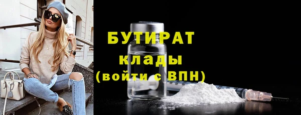 ПСИЛОЦИБИНОВЫЕ ГРИБЫ Гусев