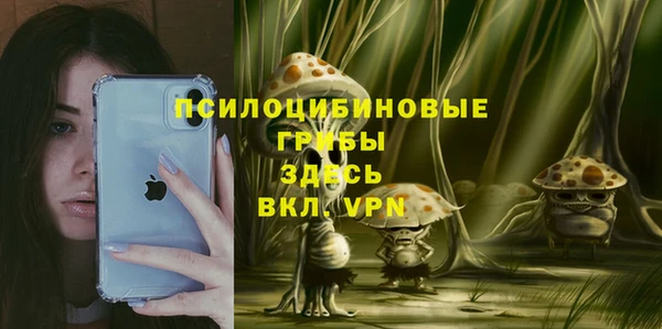 mdpv Верея