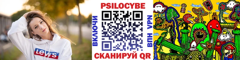 Галлюциногенные грибы Psilocybine cubensis  Жиздра 