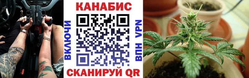 Конопля OG Kush  Жиздра 